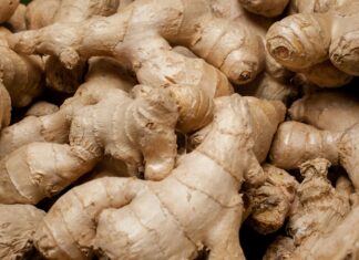 Ginger Health Benefits, Side Effects and Truth About Claims Close up of ginger roots piled on top of each other