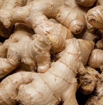 Ginger Health Benefits, Side Effects and Truth About Claims Close up of ginger roots piled on top of each other