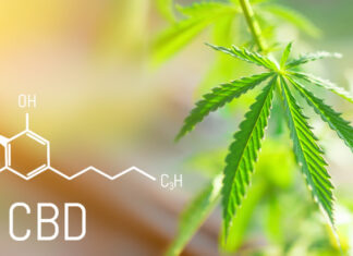 CBD: Important Update on What Works and What Doesn’t Hemp plant next to chemistry formula for CBD