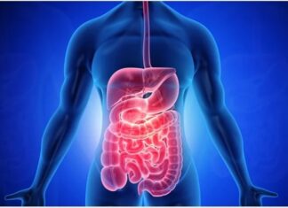 Diarrhea Illustration of a human GI tract