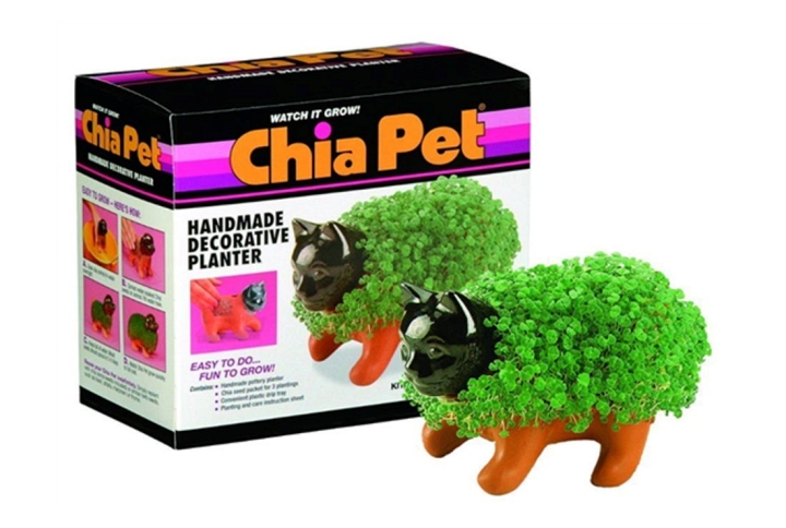 Chia Pet box with cat Chia Pet planter in front