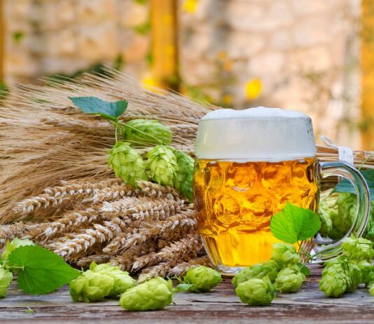 Here’s How to Be Happy With Hops – Other Than the Beer Thing Glass of foamy beer surrounded by hop cones