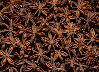 Star Anise: Traditional Spice Getting Love as Medicinal Plant Brpwm, dried star anise pods with fruit fill the photo frame